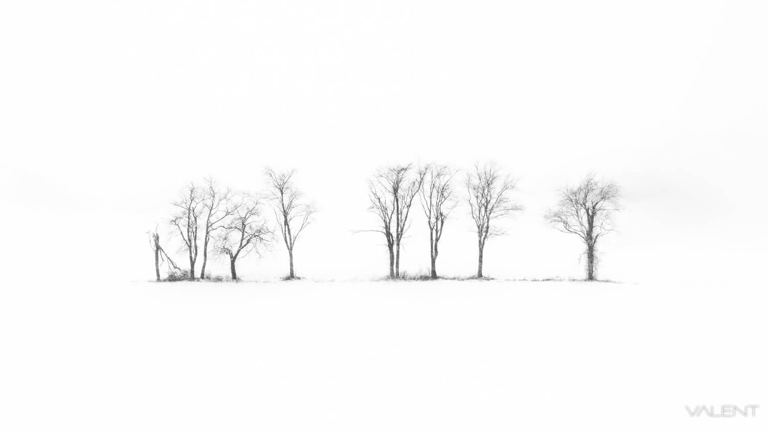 Jim Valent2